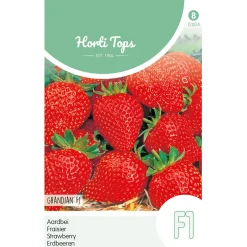 Aardbei Grandian zaad