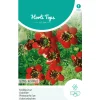 Adonis (Kooltje vuur) roodbloeiend, zaad