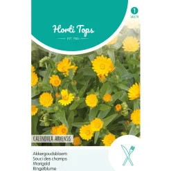 Akkergoudsbloem