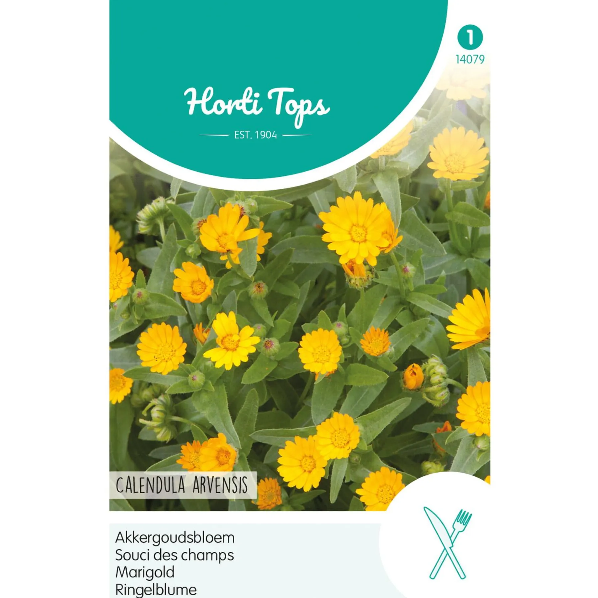 Akkergoudsbloem