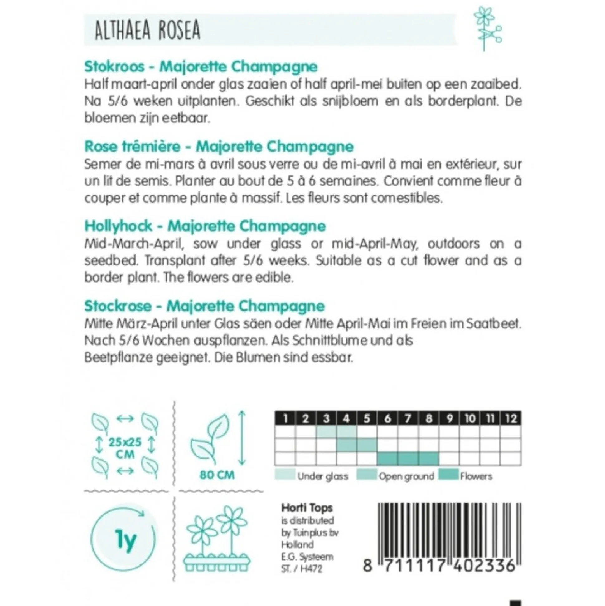 Alcea Majorette champagne (Stokroos) zaad