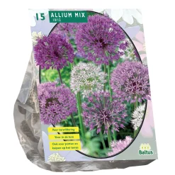 Allium mix Paars Wit per 15