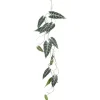 Alocasia hangend groen 115 cm