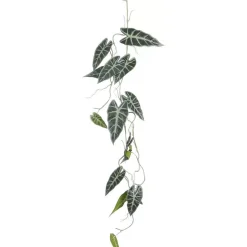 Alocasia hangend groen 115 cm