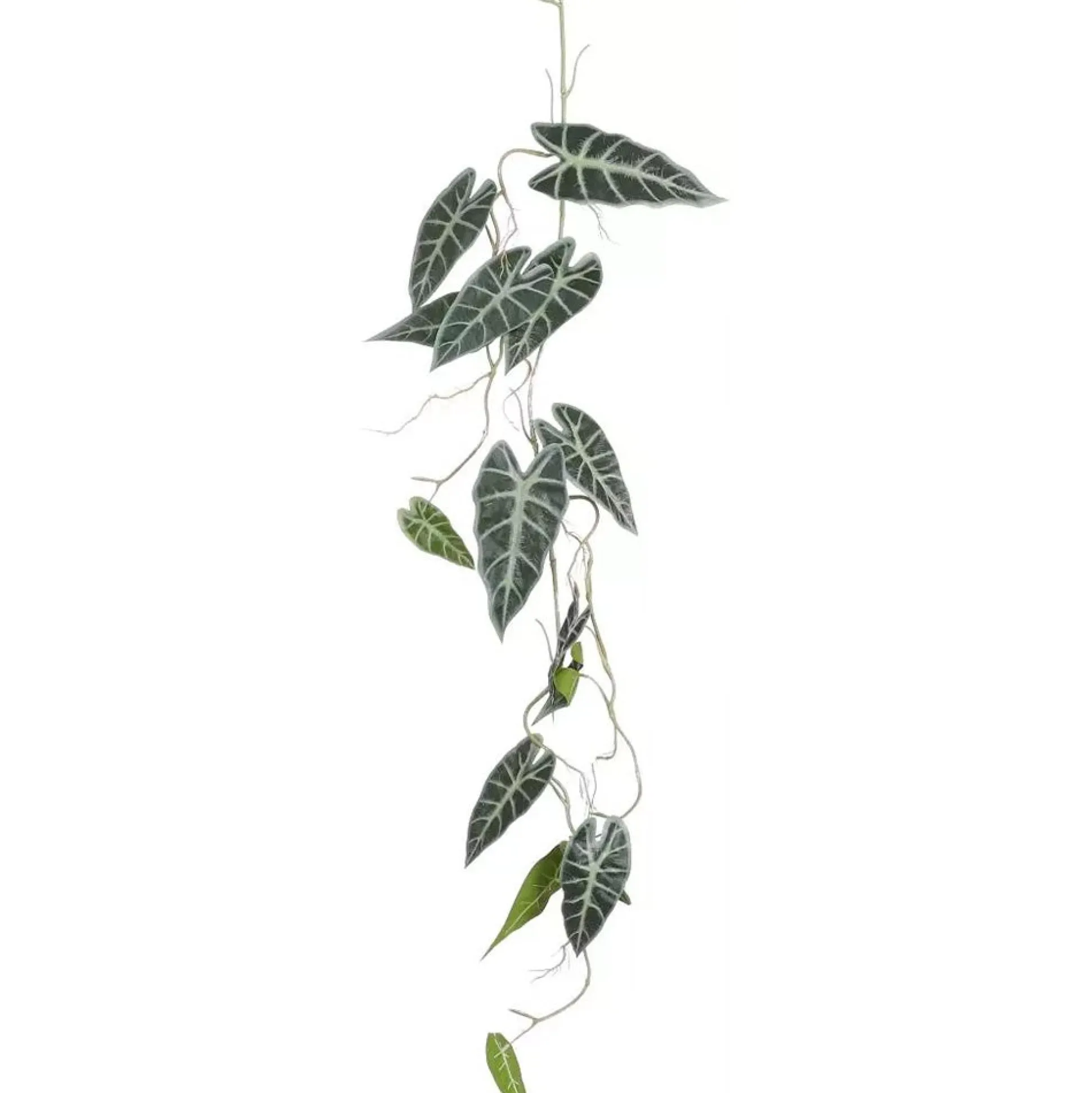 Alocasia hangend groen 115 cm