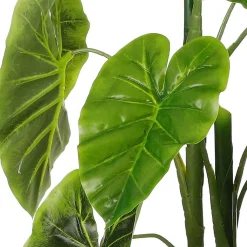 Alocasia in pot 100 cm