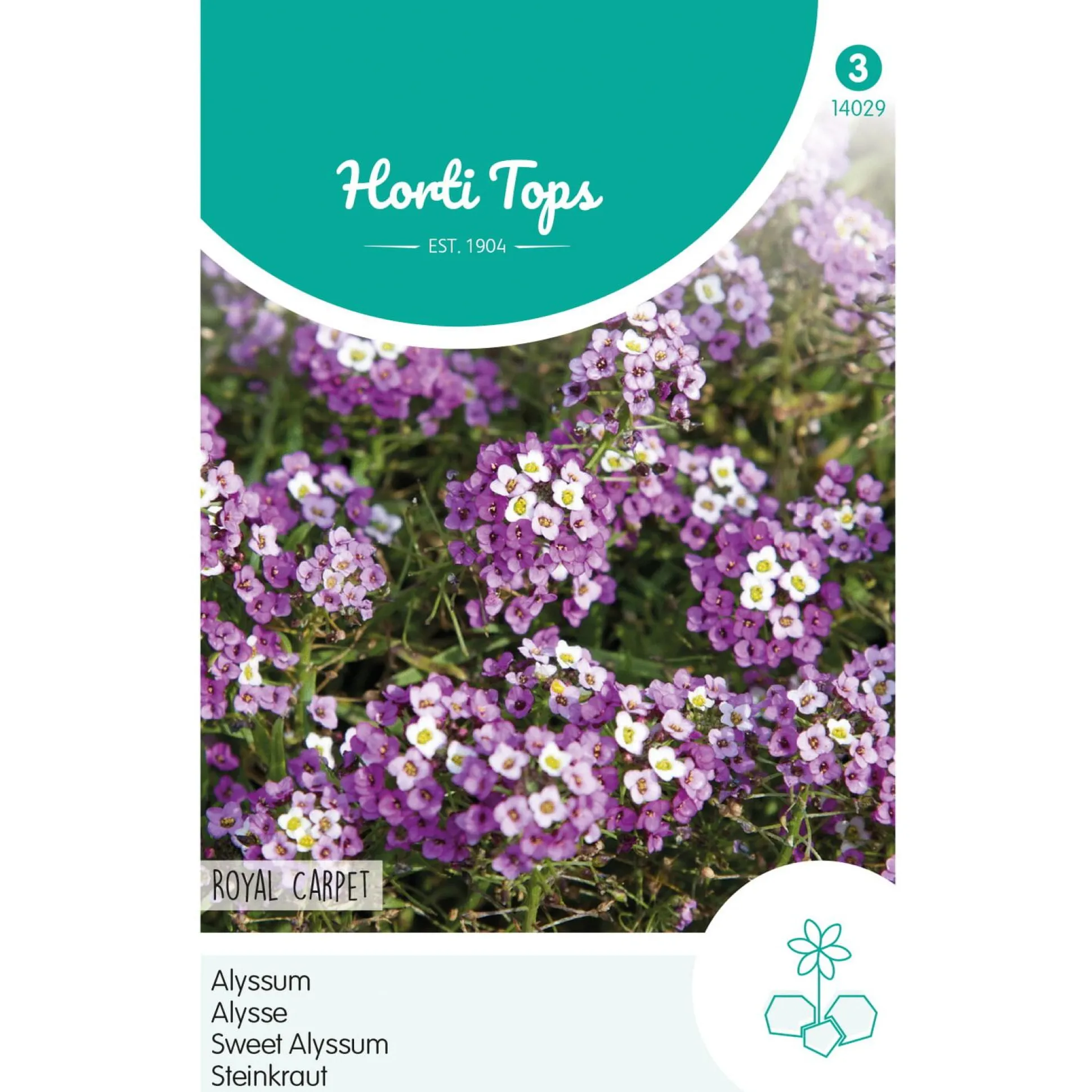 Alyssum Royal carpet