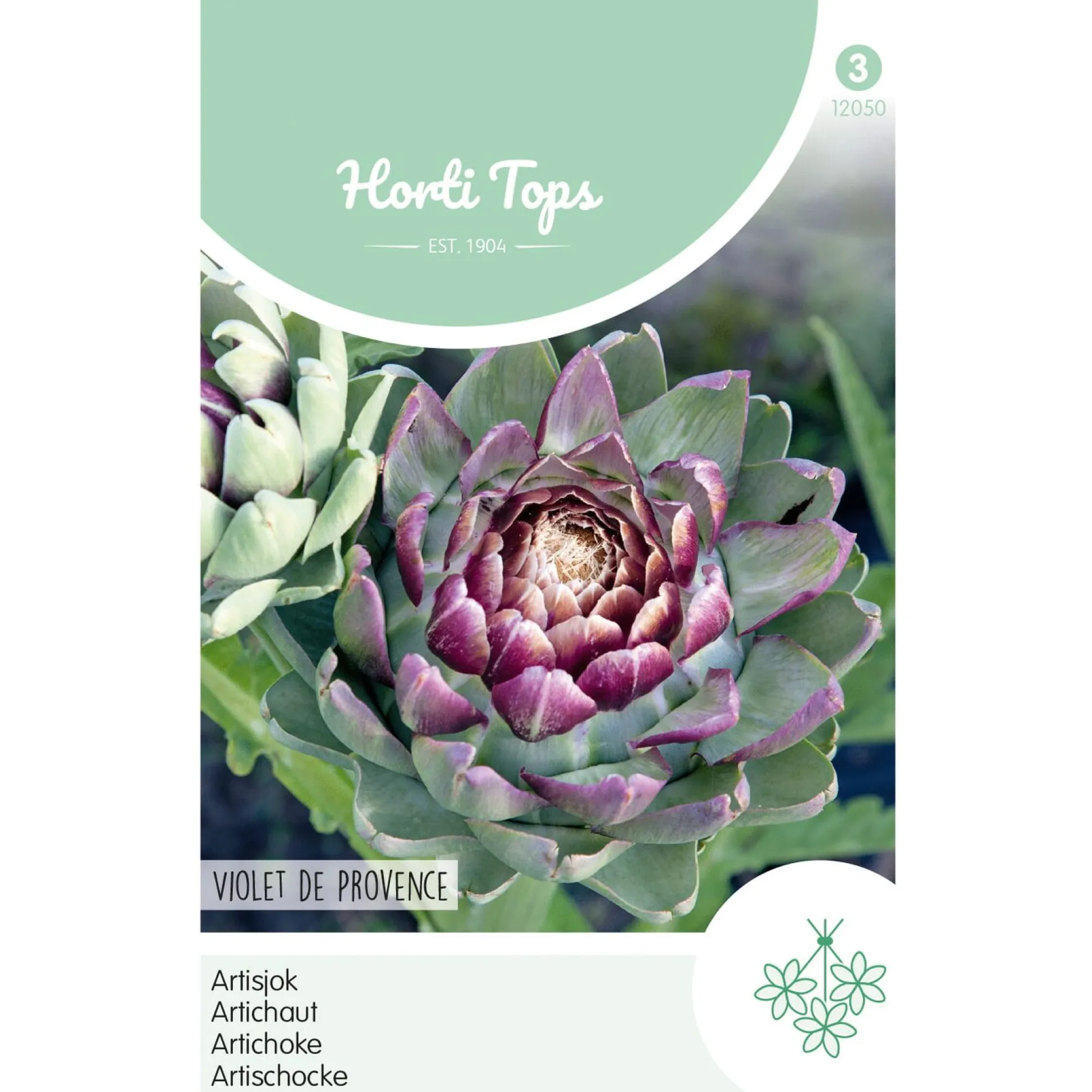 Artisjok Violet De Provence