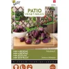 Aubergine Patio baby F1