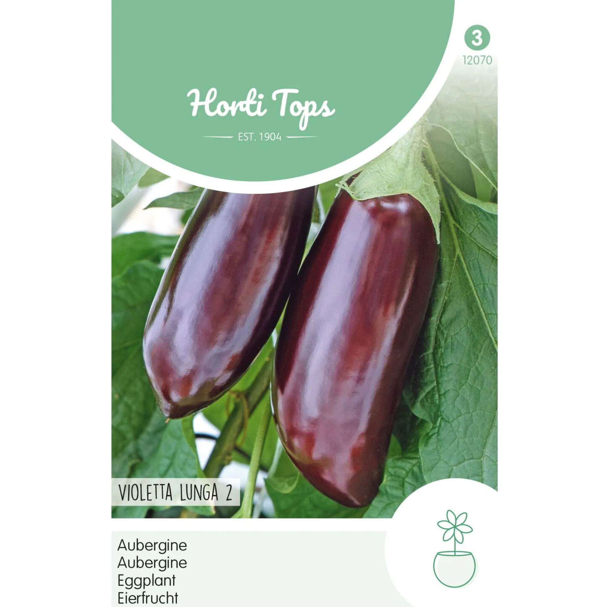 Aubergine violetta lunga 2
