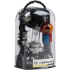 Autolamp set H4 11-delig Dunlop