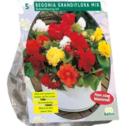 Begonia dubbelbloemig mix 5st.