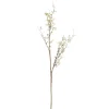 Bessentak creme 124 cm