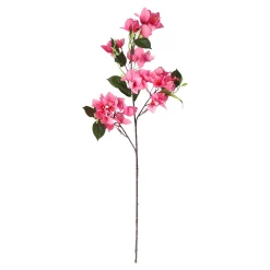 Bloem Bougainvillea fuchsia 76 cm