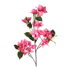 Bloem Bougainvillea fuchsia 76 cm