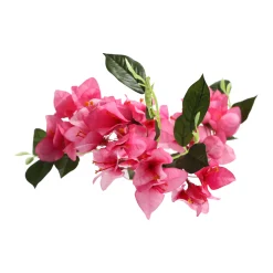 Bloem Bougainvillea fuchsia 76 cm