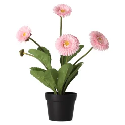 Bloem gerbera in pot 30 cm