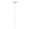 Bloem Gerbera roze 55 cm