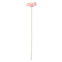 Bloem Gerbera roze 55 cm