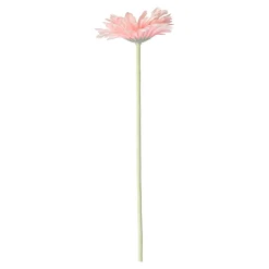 Bloem Gerbera roze 55 cm