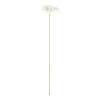 Bloem Gerbera wit 55 cm