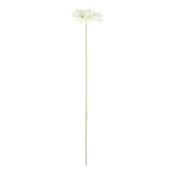 Bloem Gerbera wit 55 cm