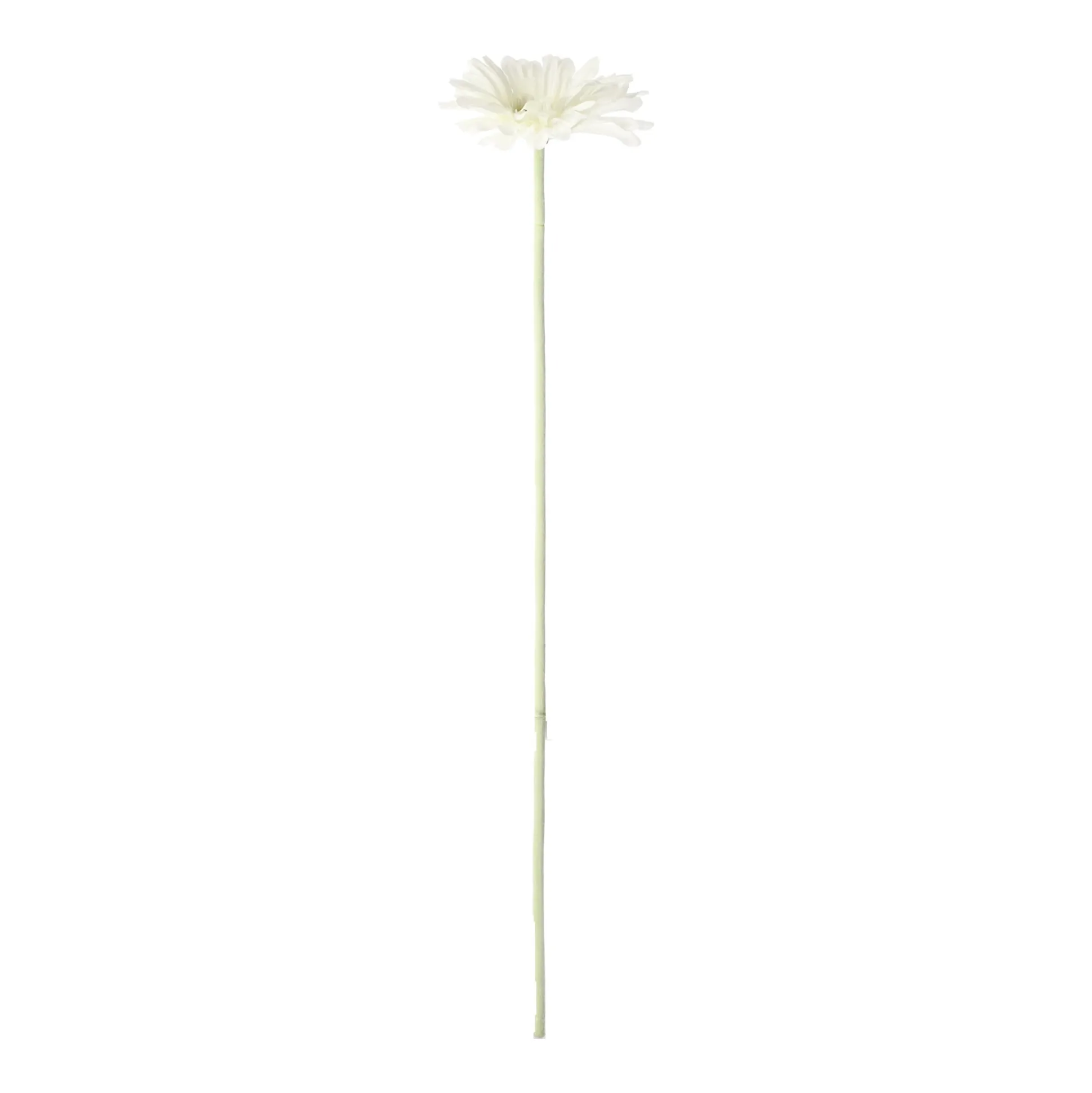 Bloem Gerbera wit 55 cm