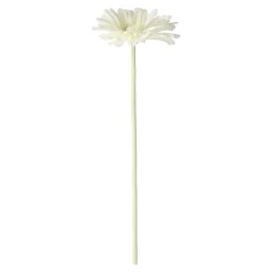 Bloem Gerbera wit 55 cm