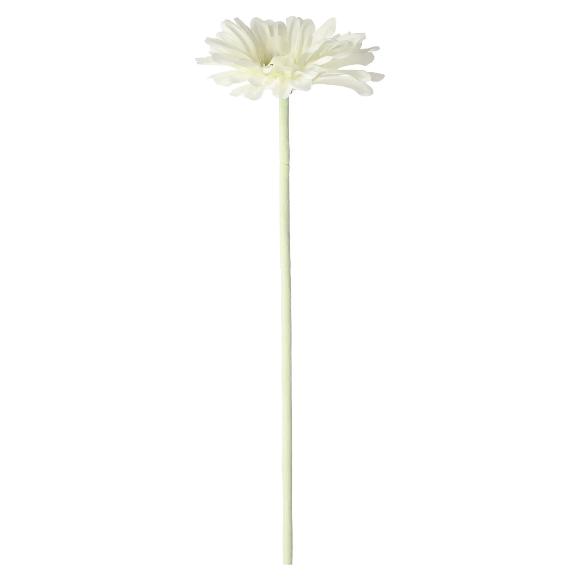 Bloem Gerbera wit 55 cm