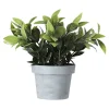Bloem in pot 28 cm diverse assorti