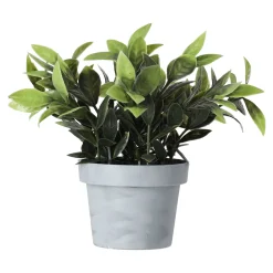 Bloem in pot 28 cm diverse assorti