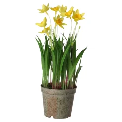Bloem narcis geel 26 cm