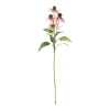 Bloem Rudbeckia lila 73 cm