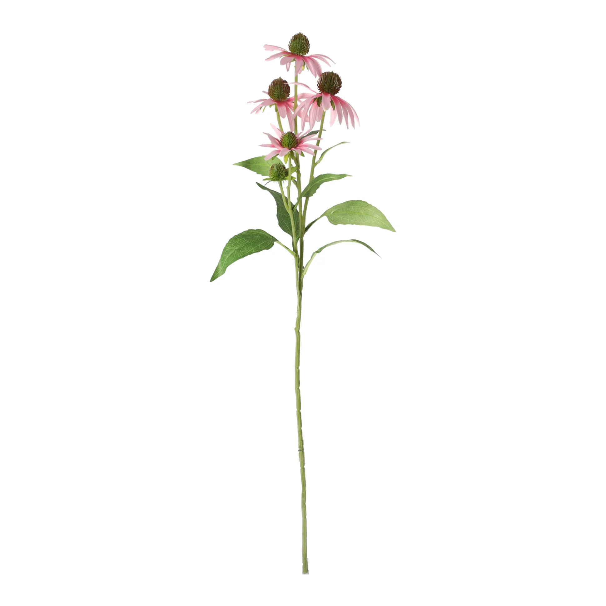 Bloem Rudbeckia lila 73 cm