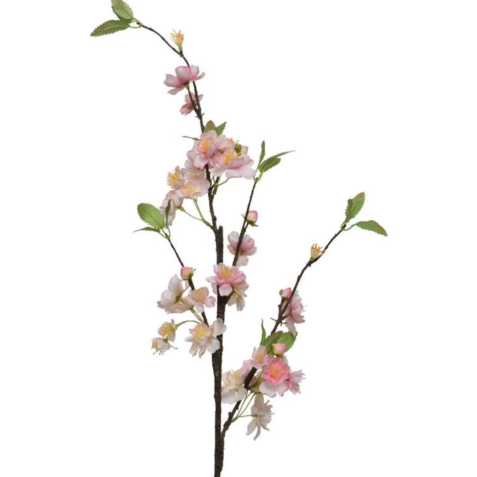 Bloesem roze mi x 106 cm