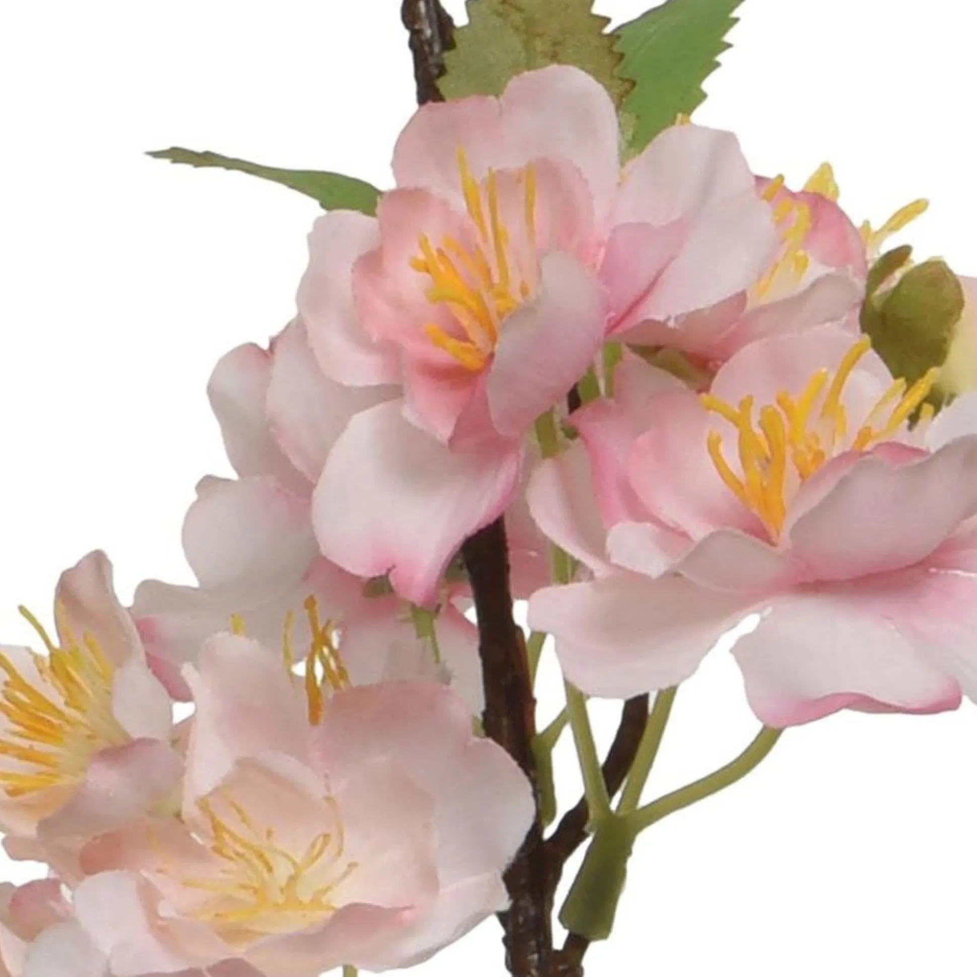 Bloesem roze mi x 106 cm