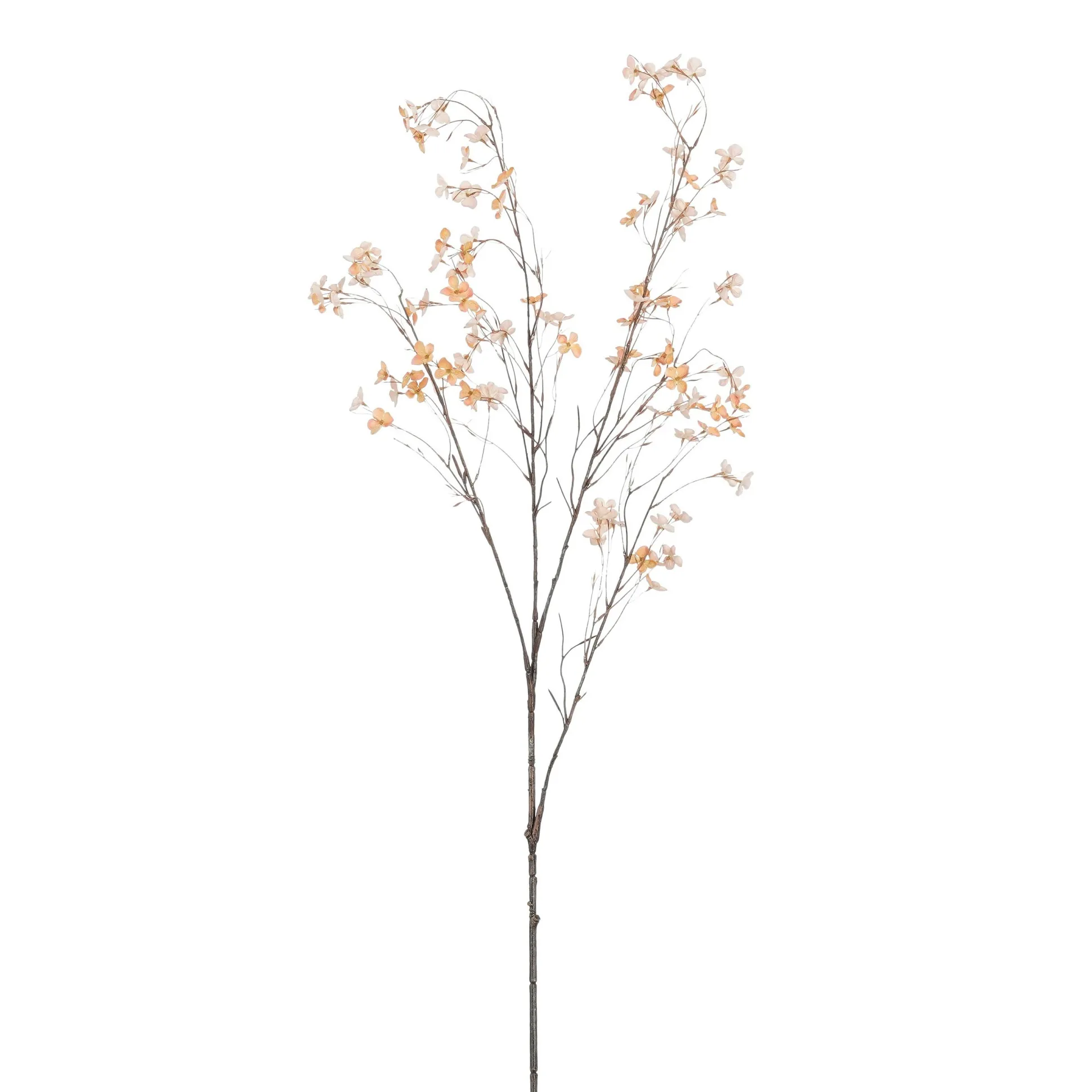 Bloesemtak bruin 131 cm
