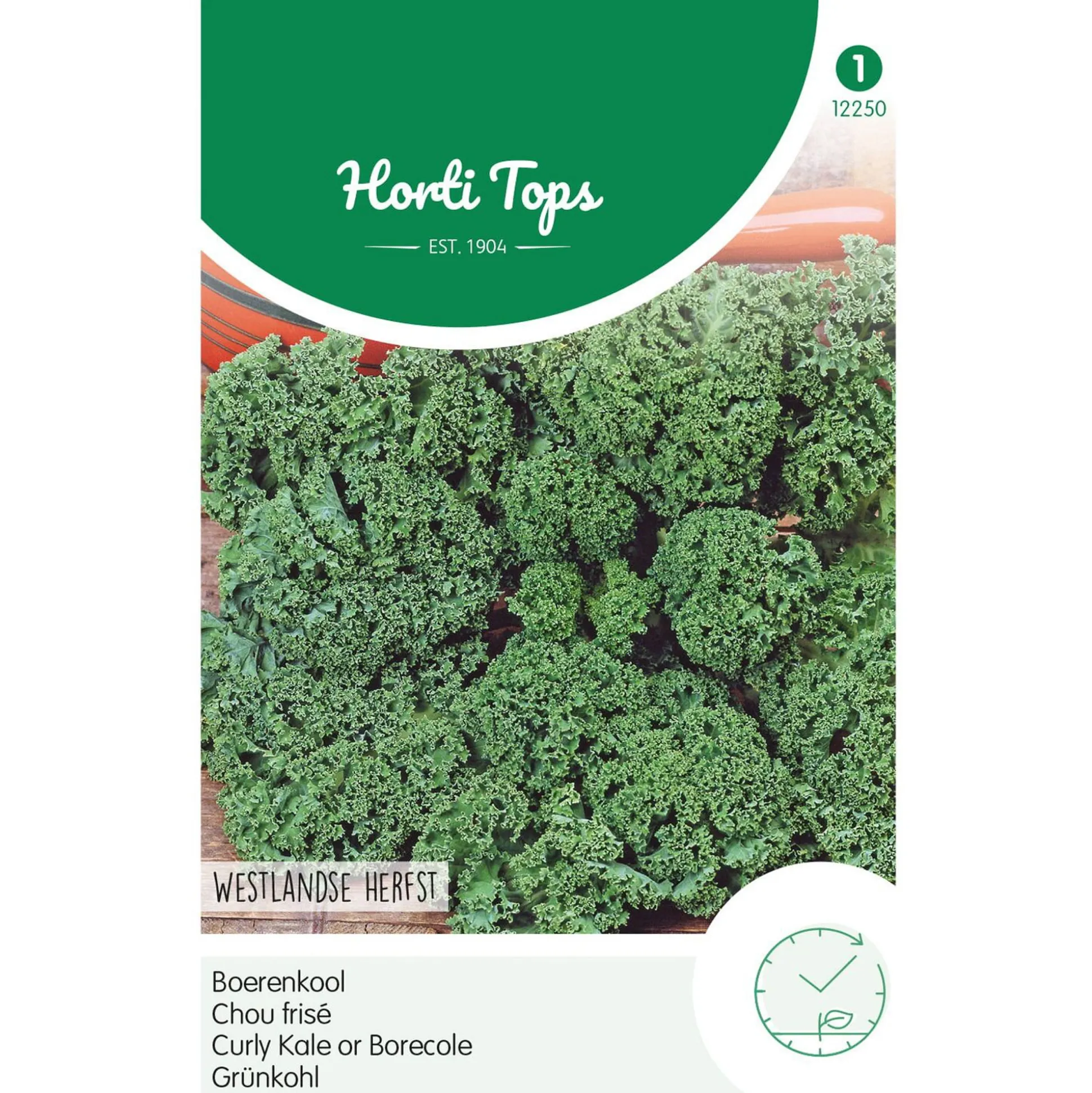 Boerenkool Westlands Herfst laat type
