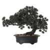 Bonsai in pot groen 28 x 15 x 23 cm