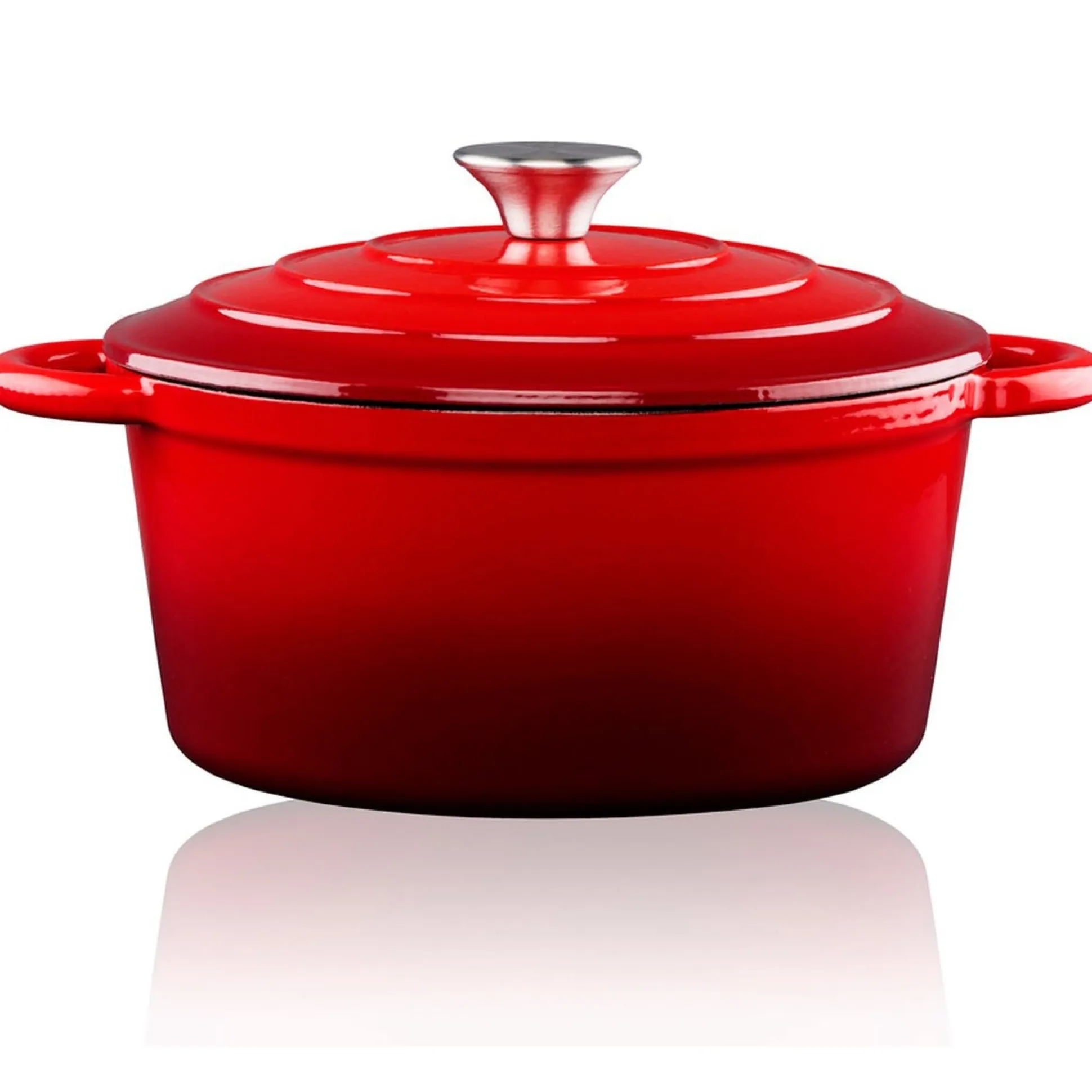 Braadpan gietijzer 24cm 3,8L Alpina