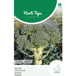 Broccoli calabria natalino