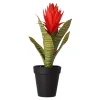 Bromelia in pot 32 cm - 3 assorti