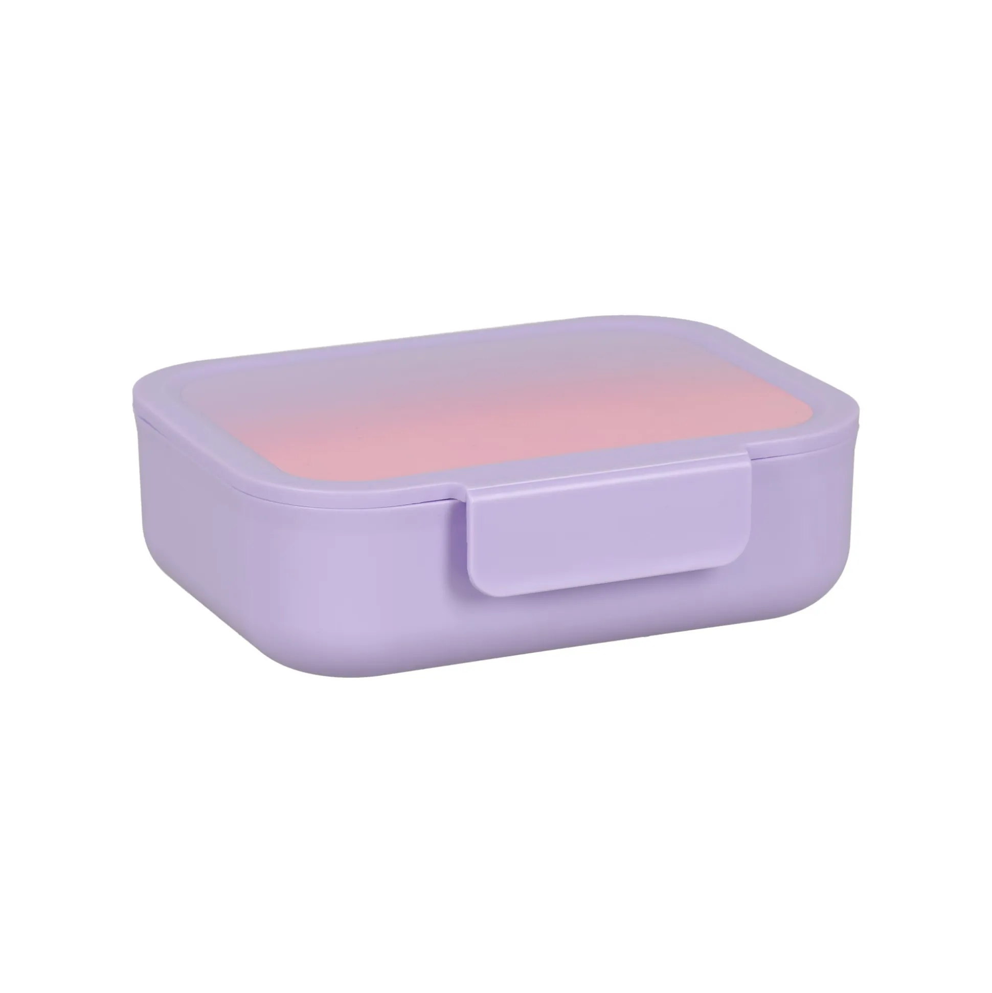 Brooddoos Rainbow purple pink