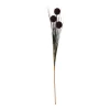Bruine grasbundel met bol 98 cm