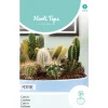 Cactus mix