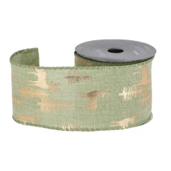 Cadeaulint groen wit