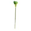 Calla enkel 67 cm groen
