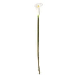 Calla enkel 67 cm wit