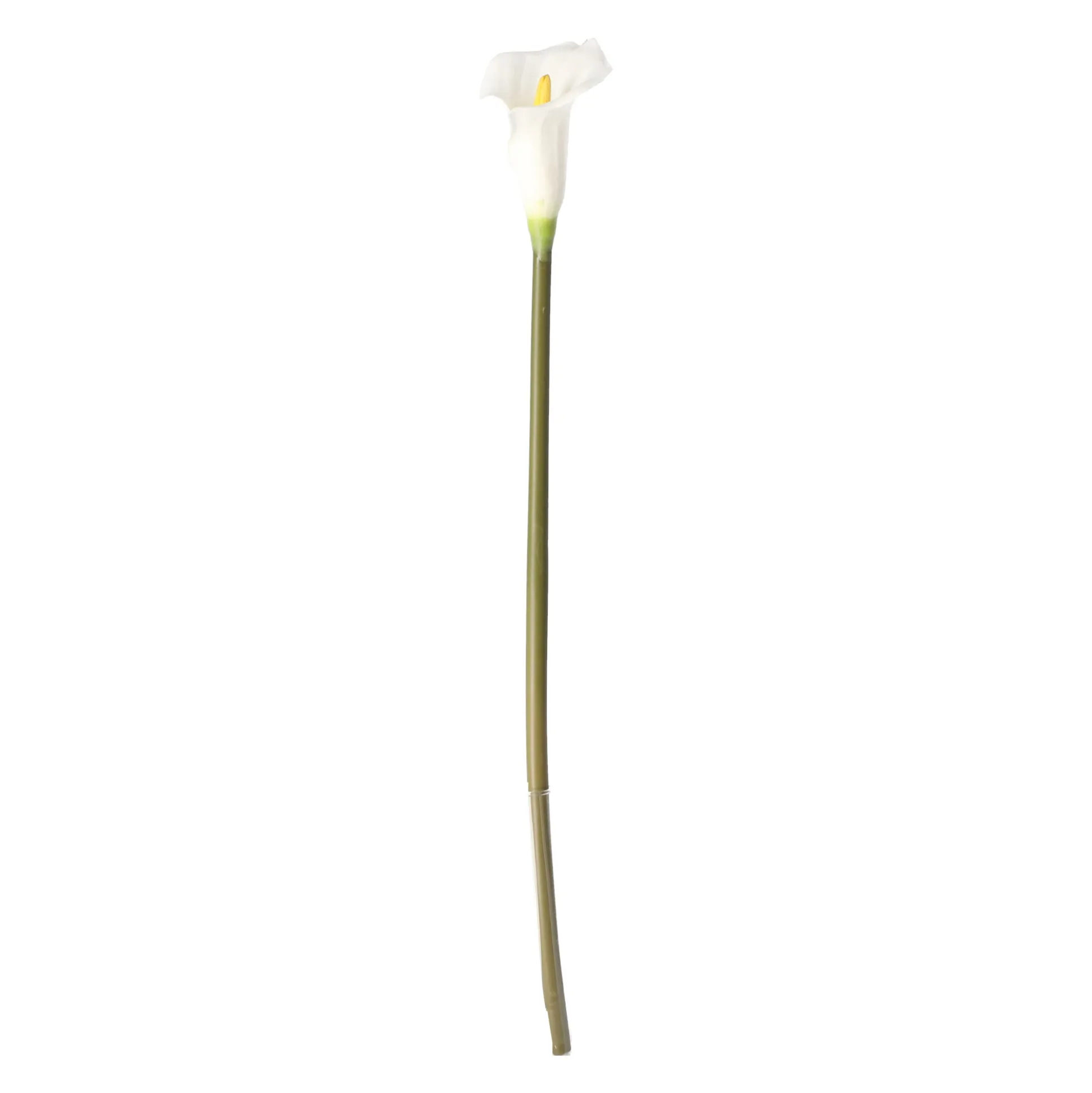 Calla enkel 67 cm wit