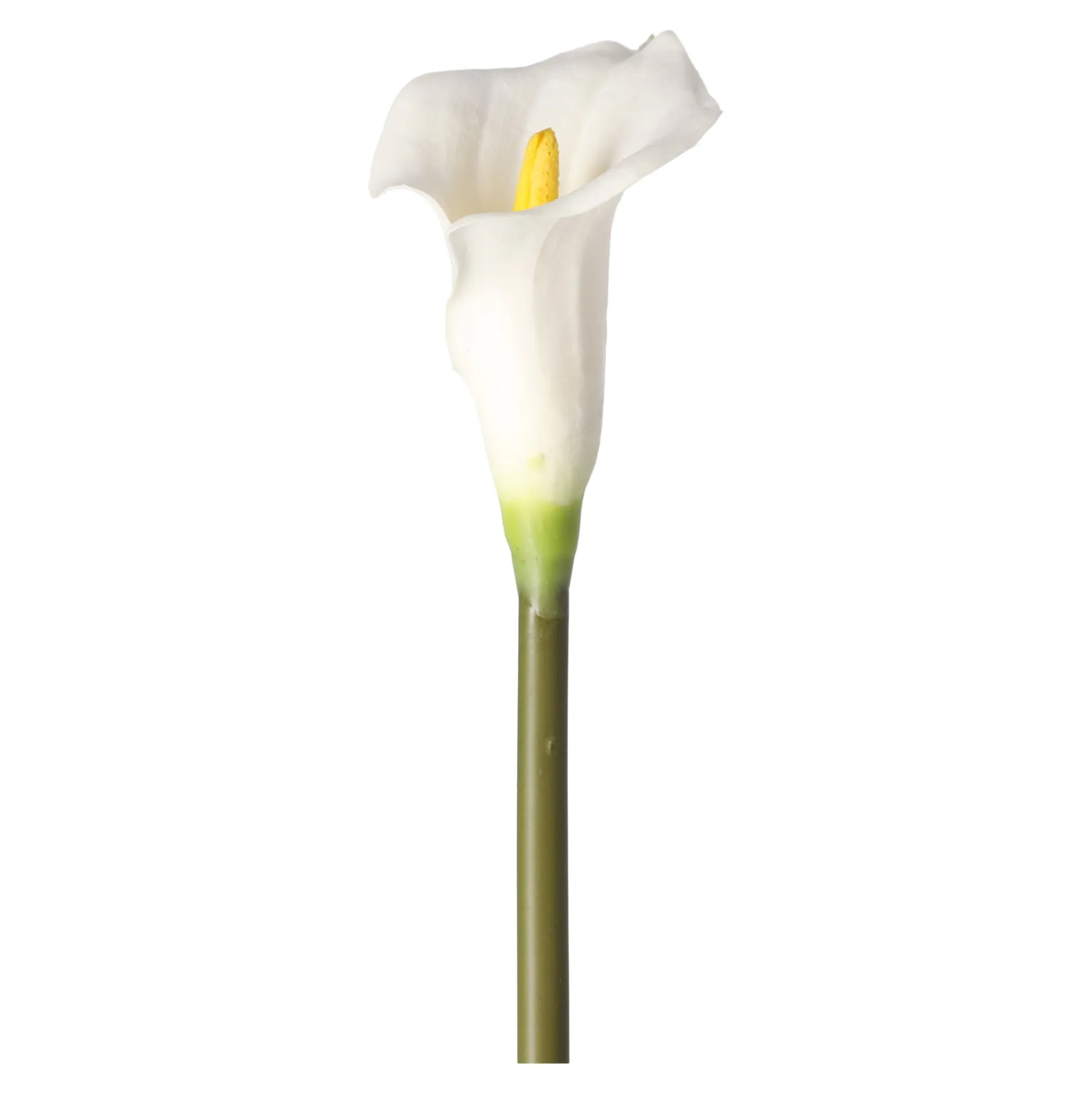 Calla enkel 67 cm wit